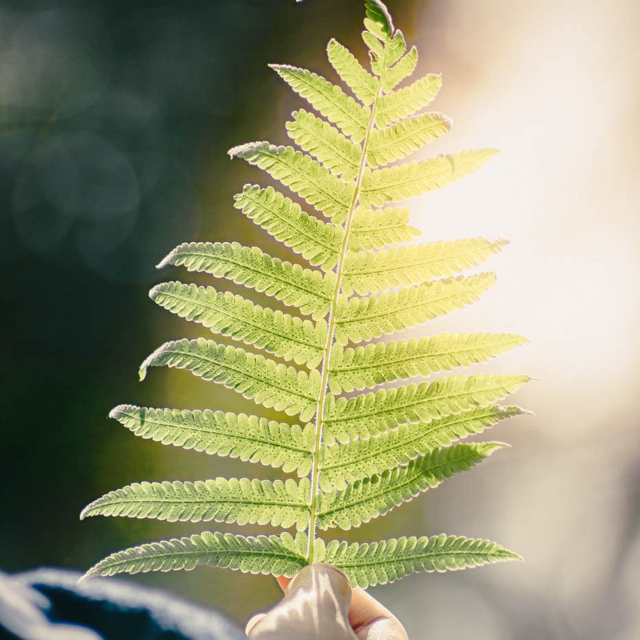 Inner balace way michaela martin coaching freiheit workshops Rhuelzheim